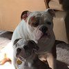 mary_plowman